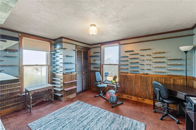 carpeted home office featuring a textured ceiling, crown molding, and wood walls