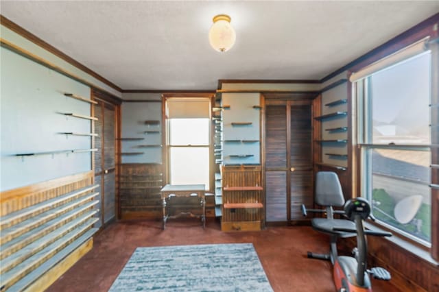 home office featuring crown molding and plenty of natural light