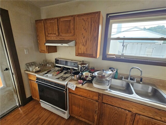 kitchen with dark wood-type flooring, sink, range hood, and white stove