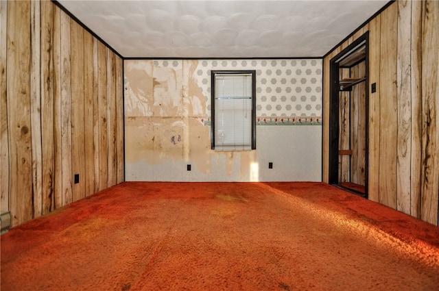 empty room featuring wood walls and carpet