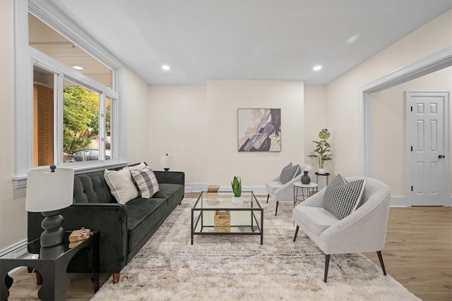 living room featuring light hardwood / wood-style flooring