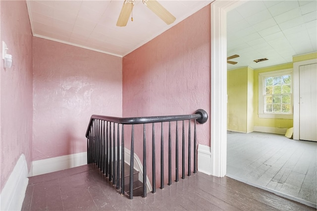 stairs featuring crown molding, hardwood / wood-style flooring, and ceiling fan