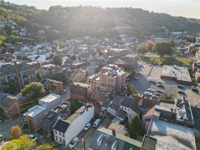 bird's eye view