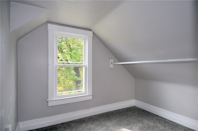 bonus room featuring carpet and vaulted ceiling