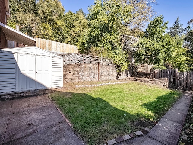 view of yard featuring a storage shed