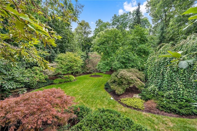 224 Thorn St, Sewickley, PA 15143 - view of yard