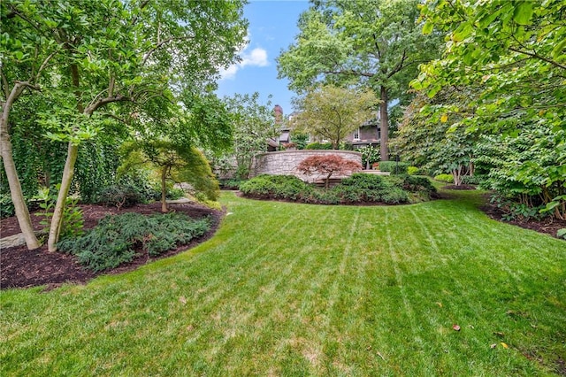 224 Thorn St, Sewickley, PA 15143 - view of yard