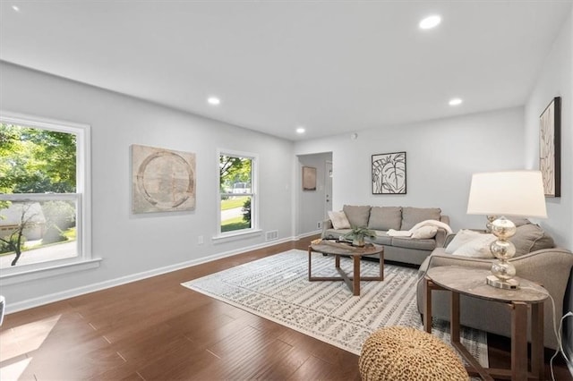 living room with hardwood / wood-style flooring