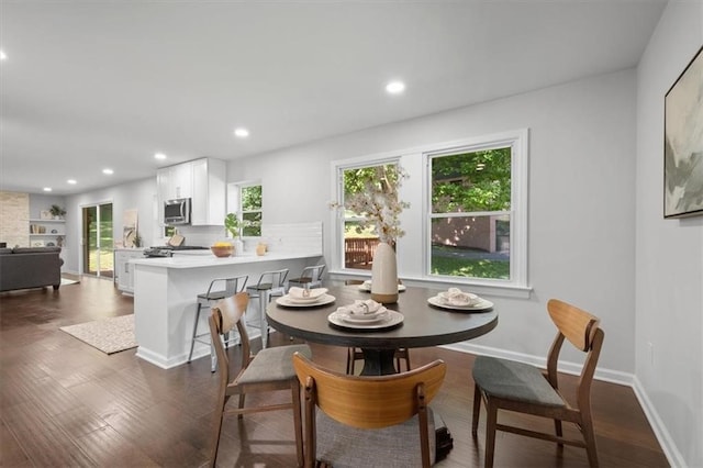 dining room featuring dark wood-type flooring and plenty of natural light