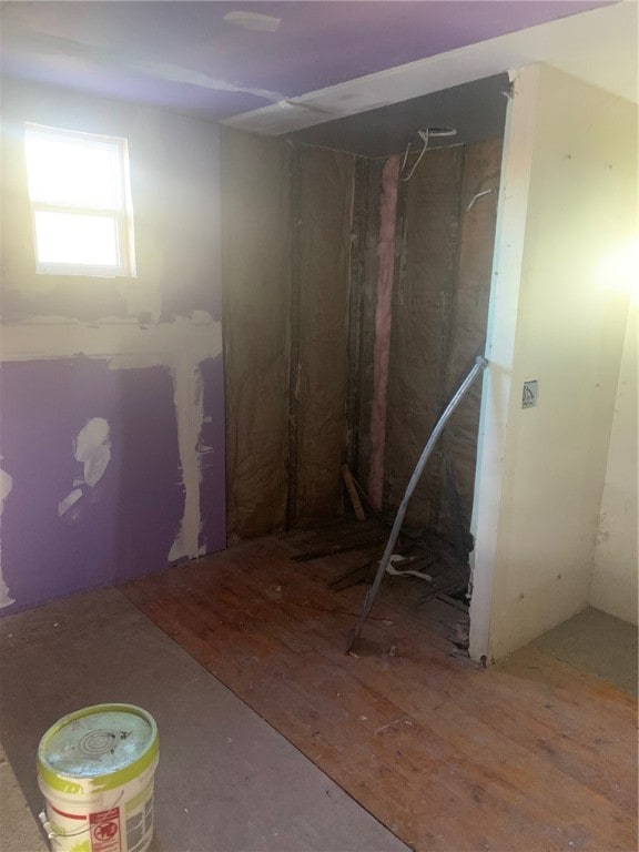 basement with wood-type flooring