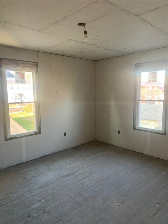 empty room with light hardwood / wood-style flooring