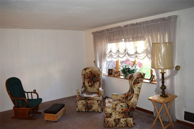 living area with carpet floors