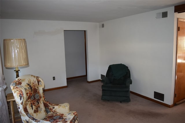 sitting room featuring carpet