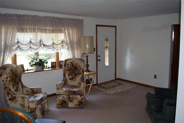 living area featuring carpet flooring