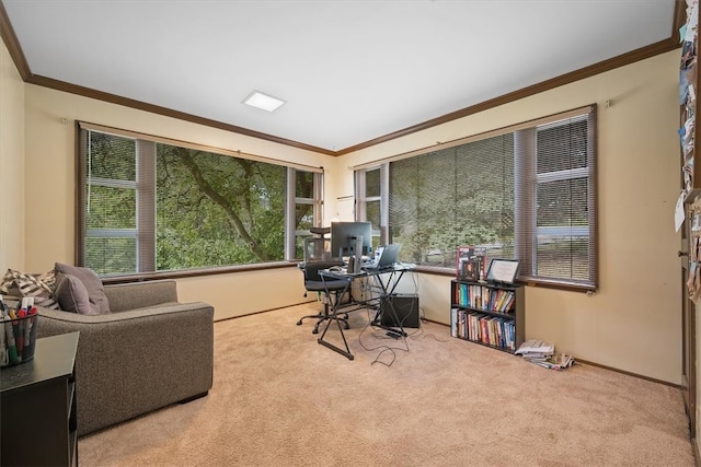 home office featuring crown molding and carpet flooring