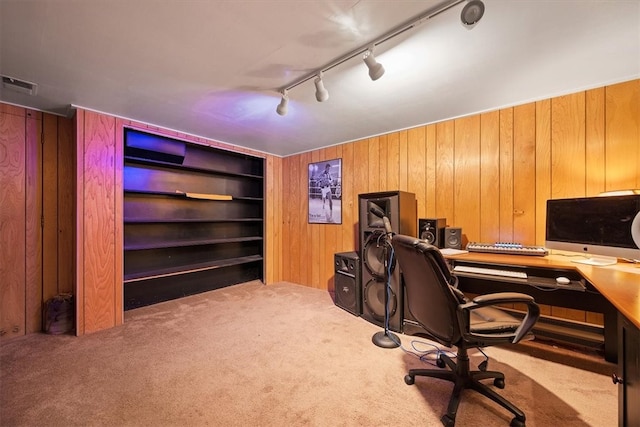 office space with wooden walls, carpet floors, and rail lighting