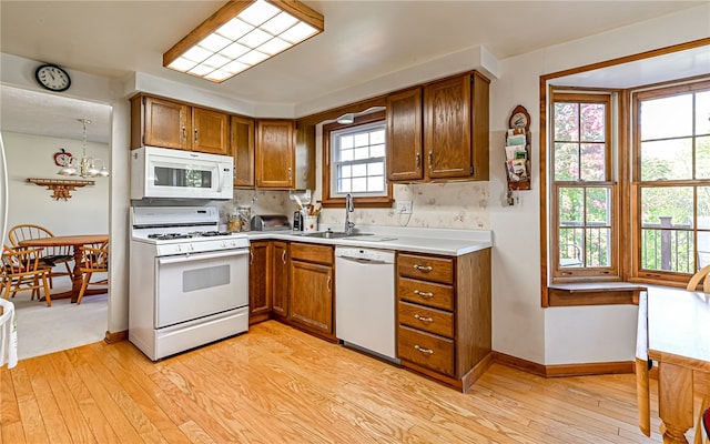 kitchen featuring sink, light hardwood / wood-style flooring, white appliances, and plenty of natural light