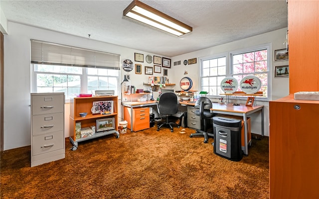 office with dark colored carpet and a textured ceiling