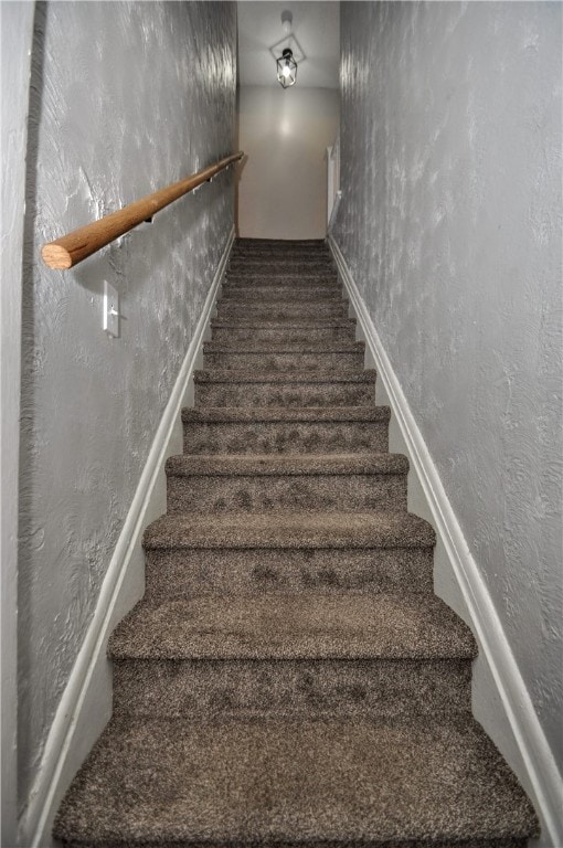 staircase featuring carpet