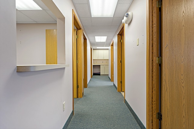 hall with carpet and a paneled ceiling