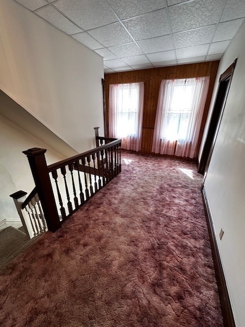 staircase with a paneled ceiling, carpet floors, and wood walls