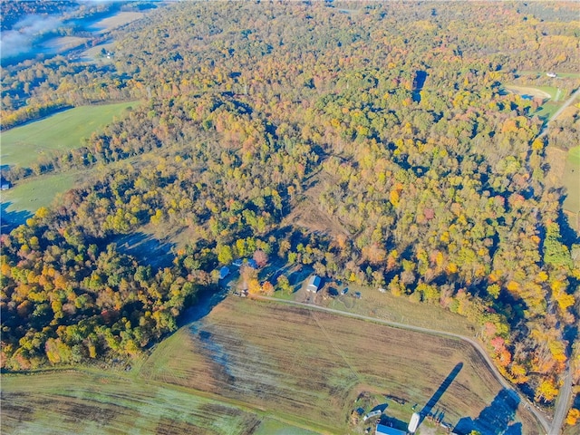 birds eye view of property featuring a rural view