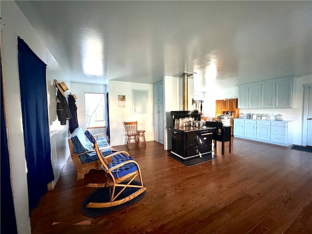 sitting room featuring dark wood-type flooring