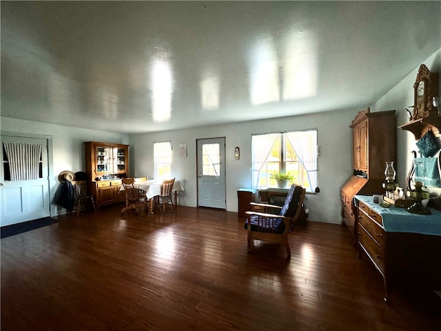 interior space with dark hardwood / wood-style floors