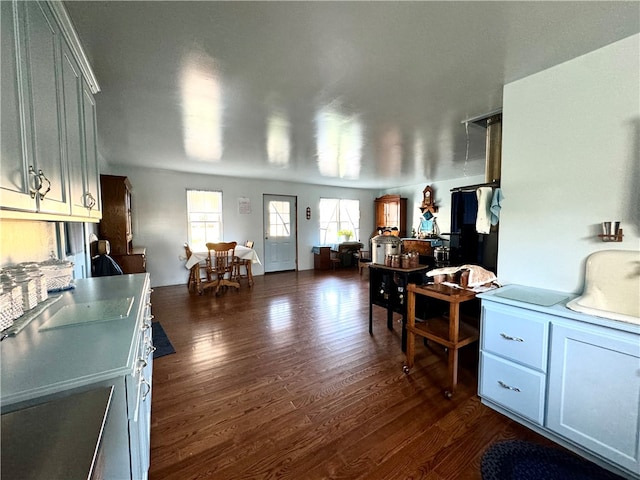 kitchen featuring black fridge and dark hardwood / wood-style flooring