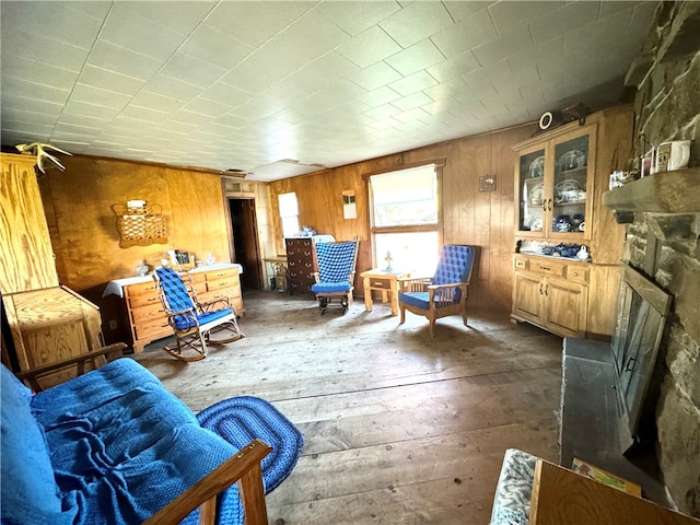 living area with wood walls