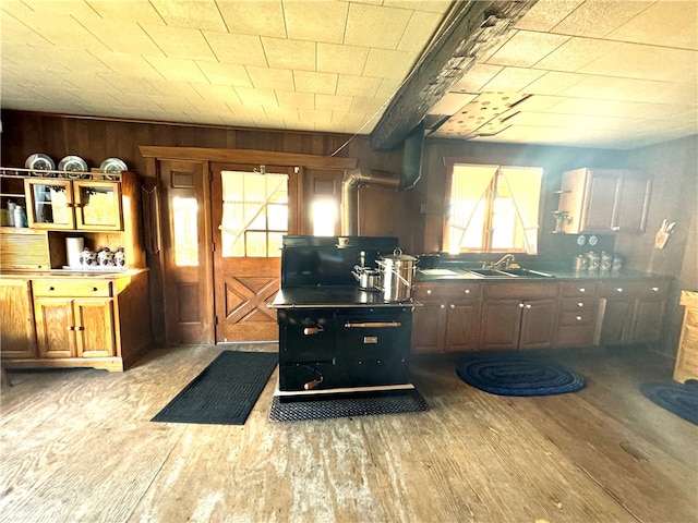 kitchen featuring wood walls, sink, and light wood-type flooring