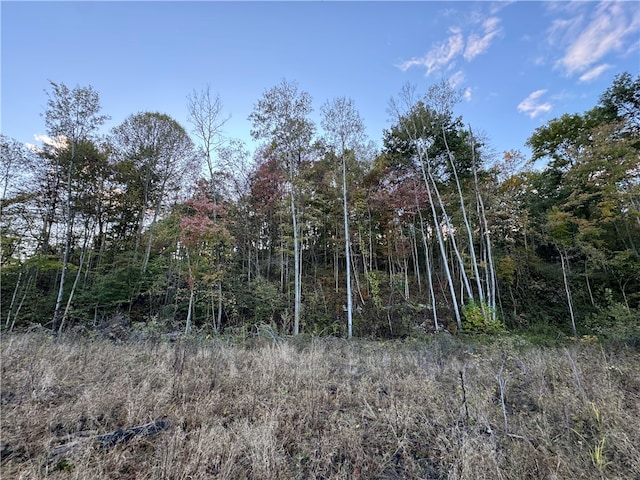 view of local wilderness