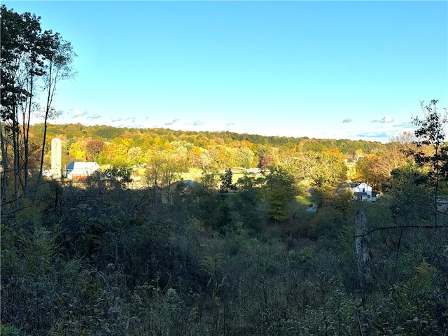 view of local wilderness