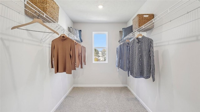 spacious closet featuring carpet