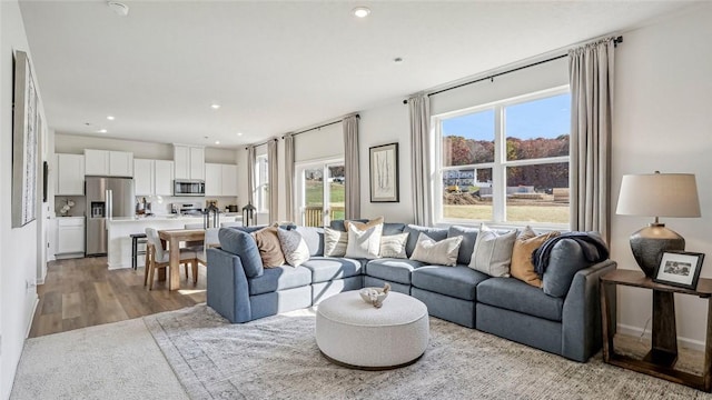 living room with light hardwood / wood-style flooring