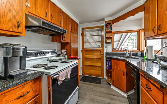 kitchen with dishwasher, electric stove, sink, and light hardwood / wood-style flooring