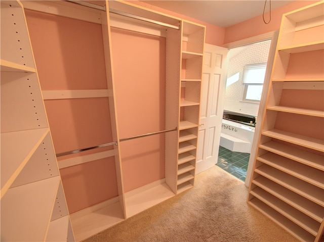 walk in closet featuring carpet floors