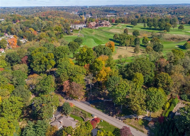 aerial view