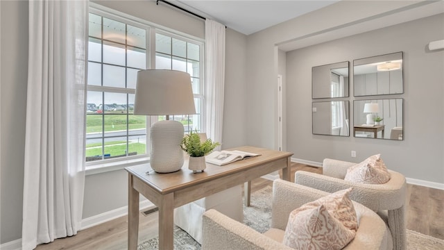 office with hardwood / wood-style floors and a wealth of natural light