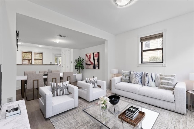 living room featuring hardwood / wood-style floors