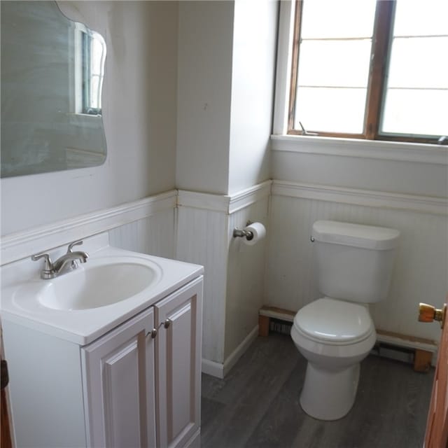 bathroom featuring vanity, hardwood / wood-style flooring, and toilet