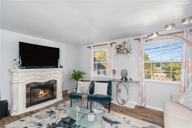 living room featuring hardwood / wood-style flooring