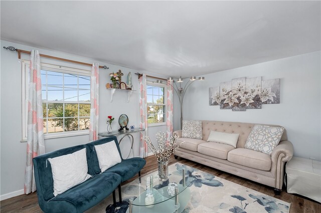 living room with hardwood / wood-style floors and a healthy amount of sunlight