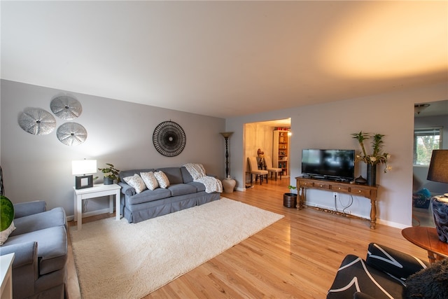 living room with hardwood / wood-style floors