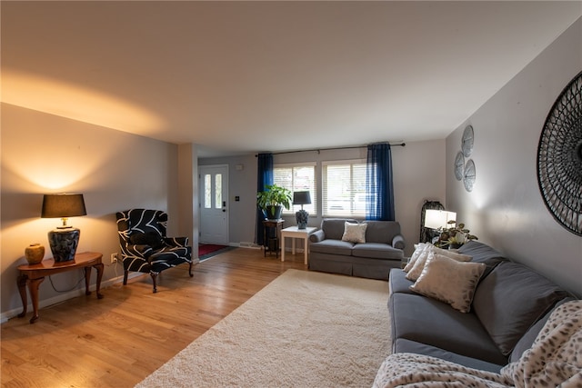 living room featuring light hardwood / wood-style flooring