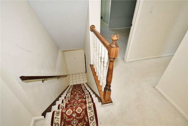 stairs with carpet flooring