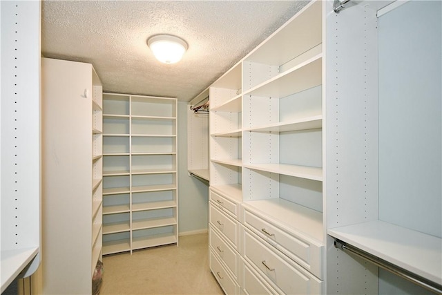 walk in closet featuring light colored carpet