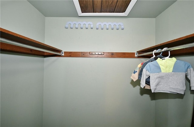 view of spacious closet