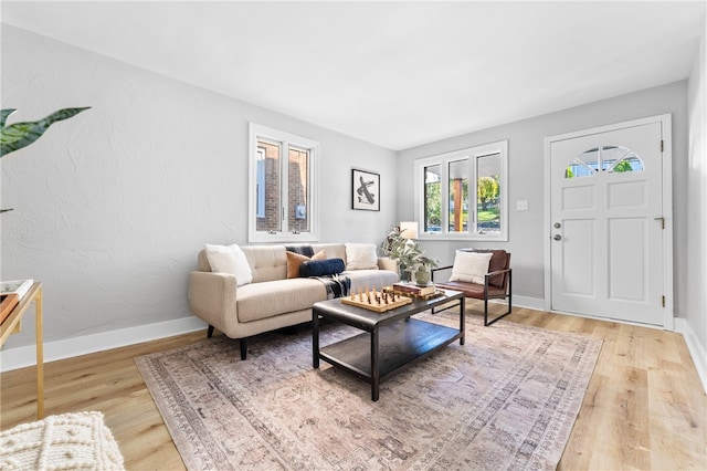 living room featuring light hardwood / wood-style flooring