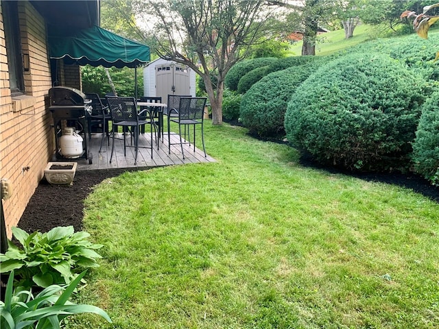 view of yard featuring a storage unit and a patio area